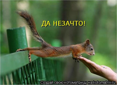 ДА НЕЗАЧТО!... Котоматрица: ДА НЕЗАЧТО!