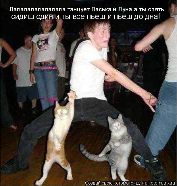 Котоматрица: Лалалалалалалала танцует Васька и Луна а ты опять  сидиш один и ты все пьеш и пьеш до дна!