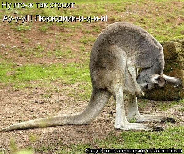 Ау-у-у!!! Люююдиии-и-и-и-и! Ну кто-ж так строит.... Котоматрица: Ау-у-у!!! Люююдиии-и-и-и-и! Ну кто-ж так строит.