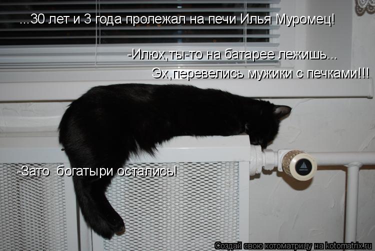 Котоматрица: ...30 лет и 3 года пролежал на печи Илья Муромец!  -Илюх,ты-то на батарее лежишь...  Эх,перевелись мужики с печками!!!  -Зато  богатыри остались!