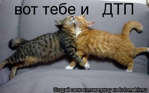 вот тебе и ДТП... Котоматрица: вот тебе и ДТП