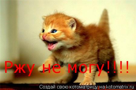 Ржу не могу!!!!... Котоматрица: Ржу не могу!!!!