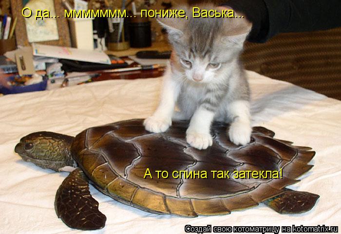 О да... ммммммм... пониже, Васька... А то спина так затекла!... Котоматрица: О да... ммммммм... пониже, Васька... А то спина так затекла!