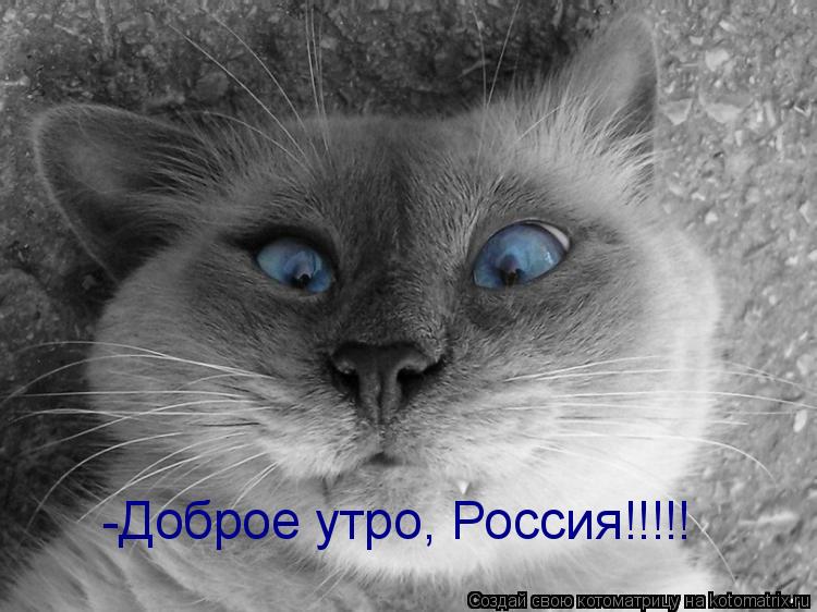 -Доброе утро, Россия!!!!!... Котоматрица: -Доброе утро, Россия!!!!!