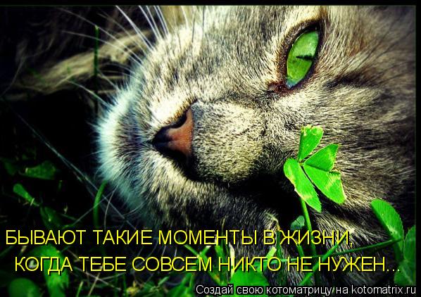 Котоматрица: БЫВАЮТ ТАКИЕ МОМЕНТЫ В ЖИЗНИ, КОГДА ТЕБЕ СОВСЕМ НИКТО НЕ НУЖЕН...
