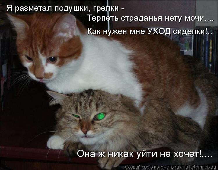 Я разметал подушки, грелки - Терпеть страданья нету мочи.... Как нужен мне УХОД сиделки!.. Она ж ника... Котоматрица: Я разметал подушки, грелки - Терпеть страданья нету мочи.... Как нужен мне УХОД сиделки!.. Она ж никак уйти не хочет!....