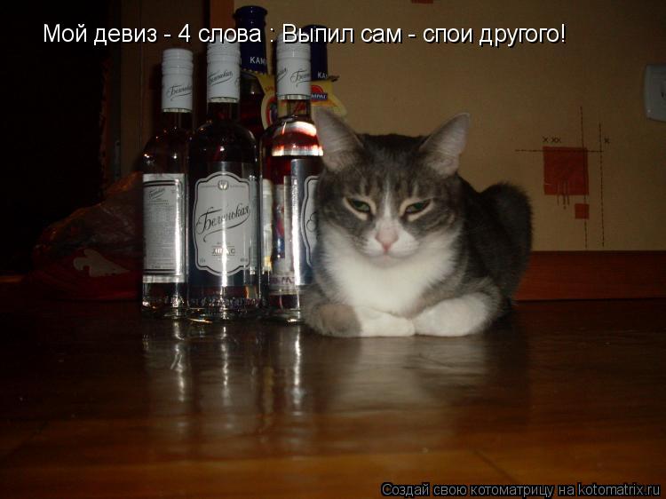Мой девиз - 4 слова : Выпил сам - спои другого!... Котоматрица: Мой девиз - 4 слова : Выпил сам - спои другого!
