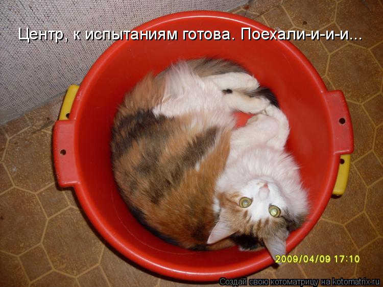 Центр, к испытаниям готова. Поехали-и-и-и...... Котоматрица: Центр, к испытаниям готова. Поехали-и-и-и...