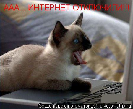 ААА... ИНТЕРНЕТ ОТКЛЮЧИЛИ!!!... Котоматрица: ААА... ИНТЕРНЕТ ОТКЛЮЧИЛИ!!!