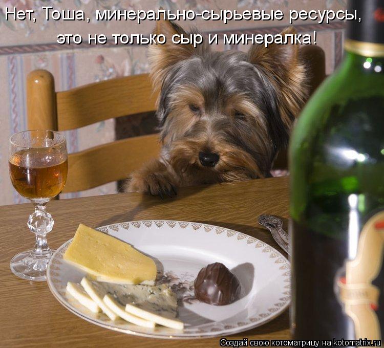 Нет, Тоша, минерально-сырьевые ресурсы, это не только сыр и минералка!... Котоматрица: Нет, Тоша, минерально-сырьевые ресурсы, это не только сыр и минералка!