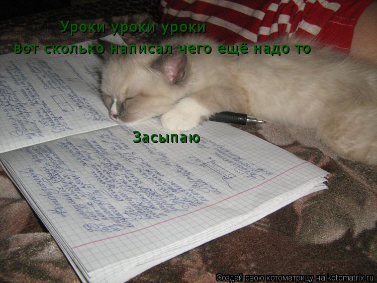 Котоматрица: Уроки уроки уроки  Засыпаю   вот сколько написал чего ещё надо то
