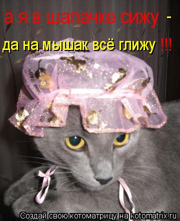 а я в шапачке сижу да на мышак всё глижу - !!!... Котоматрица: а я в шапачке сижу да на мышак всё глижу - !!!