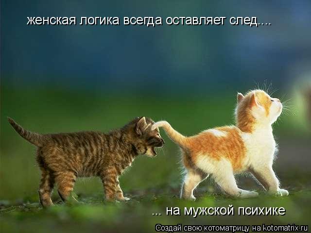 женская логика всегда оставляет след.... ... на мужской психике... Котоматрица: женская логика всегда оставляет след.... ... на мужской психике