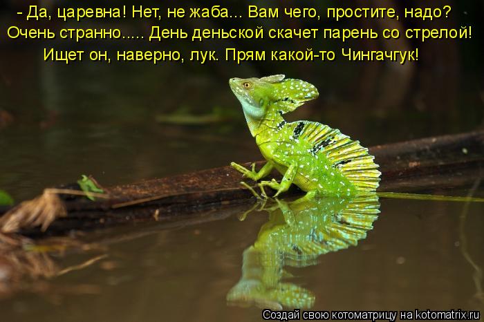 - Да, царевна! Нет, не жаба….. Вам чего, простите, надо? Очень странно..... День деньской скачет паре... Котоматрица: - Да, царевна! Нет, не жаба….. Вам чего, простите, надо? Очень странно..... День деньской скачет парень со стрелой! Ищет он, наверно, лук. Прям как
