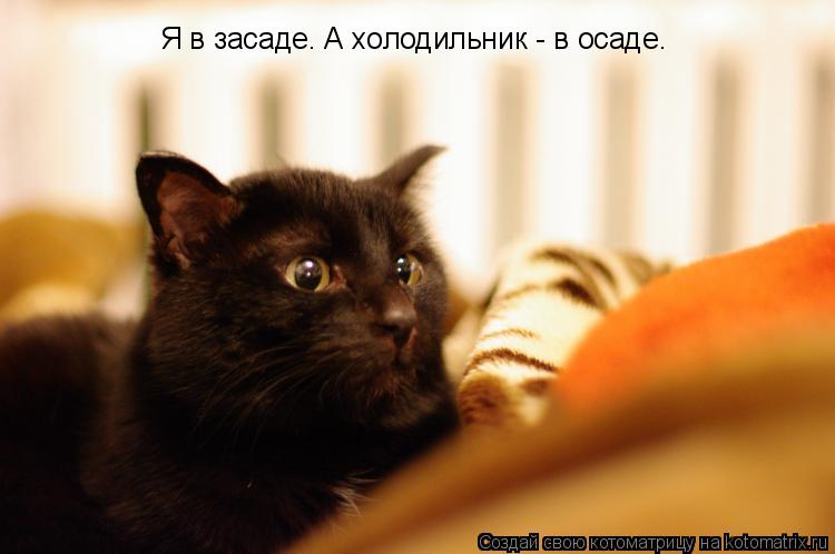 Котоматрица: Я в засаде. А холодильник - в осаде.