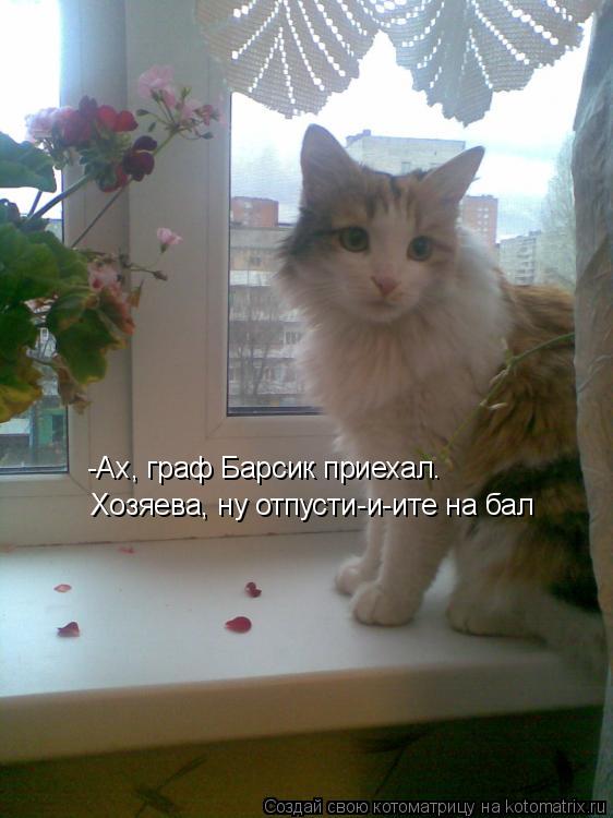 Котоматрица: -Ах, граф Барсик приехал. Хозяева, ну отпусти-и-ите на бал