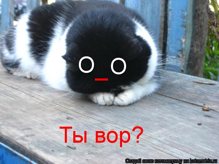 O O _ Ты вор?... Котоматрица: O O _ Ты вор?