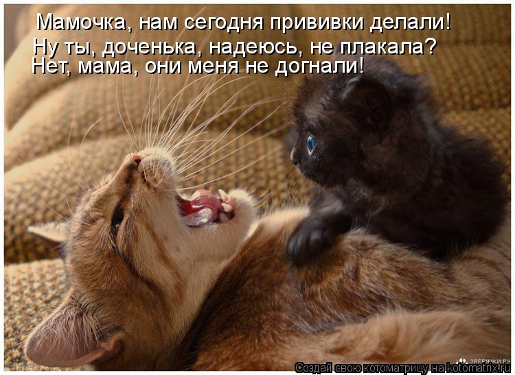 Котоматрица: Мамочка, нам сегодня прививки делали! Ну ты, доченька, надеюсь, не плакала? Нет, мама, они меня не догнали!