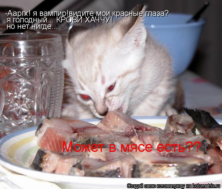 Котоматрица: -Ааргх! я вампир!видите мои красные глаза? я голодный... КРОВИ ХАЧЧУ! но нет нигде... Может в мясе есть??