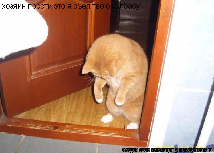 хозяин прости это я съел твою колбасу... Котоматрица: хозяин прости это я съел твою колбасу