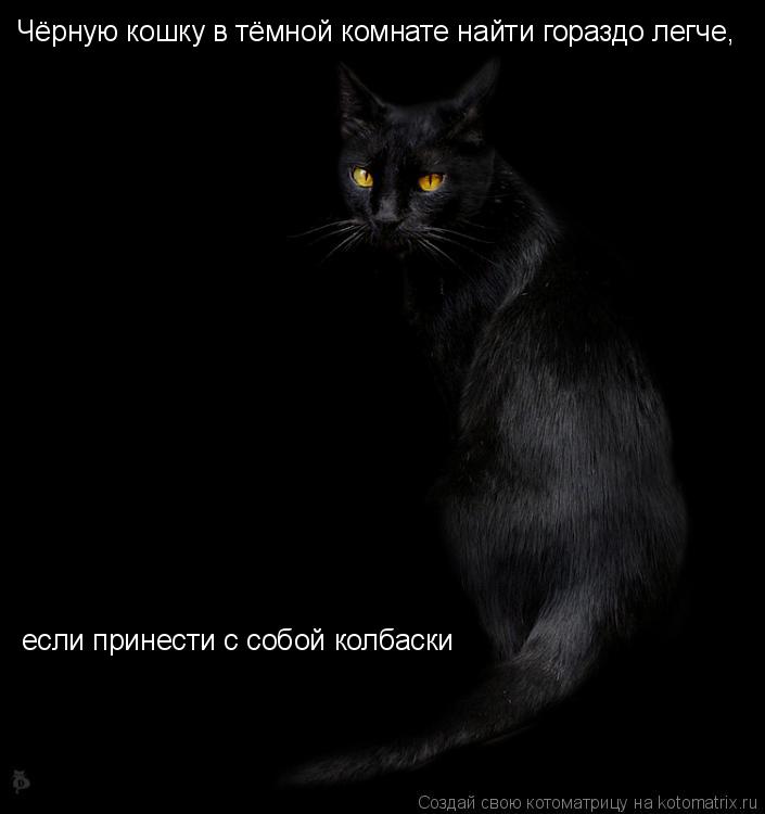 Чёрную кошку в тёмной комнате найти гораздо легче, если принести с собой колбаски... Котоматрица: Чёрную кошку в тёмной комнате найти гораздо легче, если принести с собой колбаски