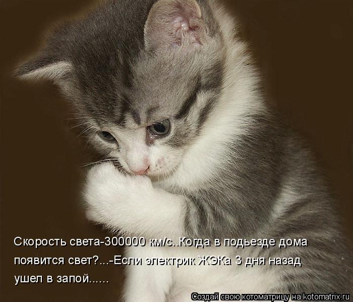 Скорость света-300000 км/c..Когда в подьезде дома появится свет?...-Если электрик ЖЭКа 3 дня назад уш... Котоматрица: Скорость света-300000 км/c..Когда в подьезде дома появится свет?...-Если электрик ЖЭКа 3 дня назад ушел в запой......