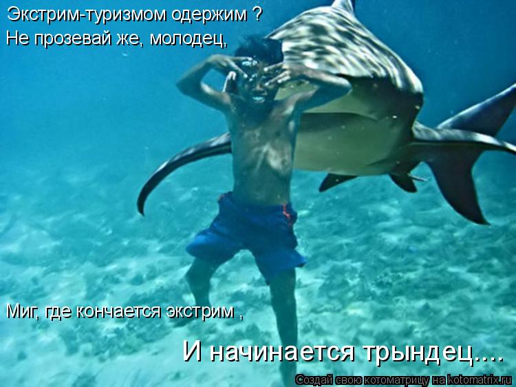 Экстрим-туризмом одержим ? Не прозевай же, молодец, Миг, где кончается экстрим , И начинается трынде... Котоматрица: Экстрим-туризмом одержим ? Не прозевай же, молодец, Миг, где кончается экстрим , И начинается трындец....