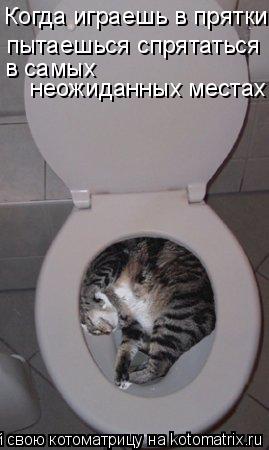 Когда играешь в прятки, пытаешься спрятаться в самых неожиданных местах... Котоматрица: Когда играешь в прятки, пытаешься спрятаться в самых неожиданных местах