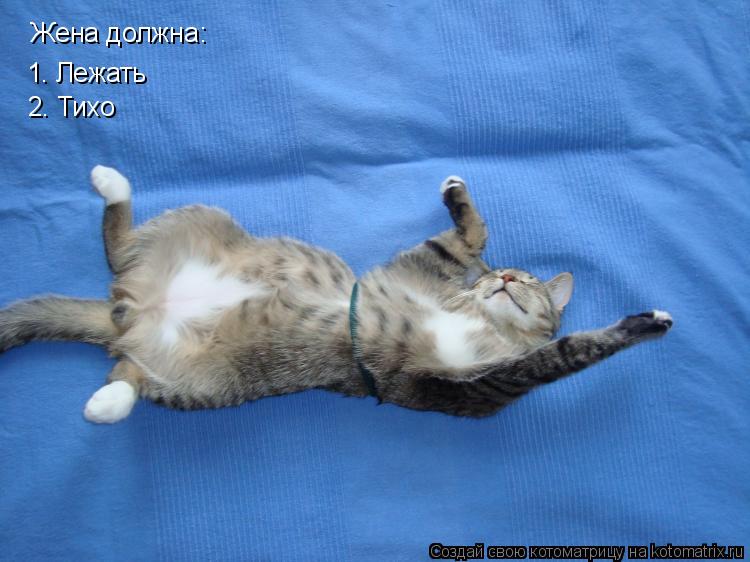 Жена должна: 1. Лежать 2. Тихо... Котоматрица: Жена должна: 1. Лежать 2. Тихо