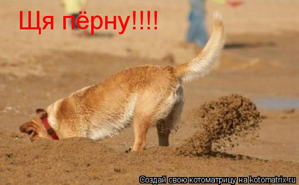 Котоматрица: Щя пёрну!!!!