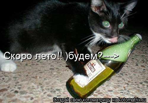 Котоматрица: Скоро лето!! )будем?--->