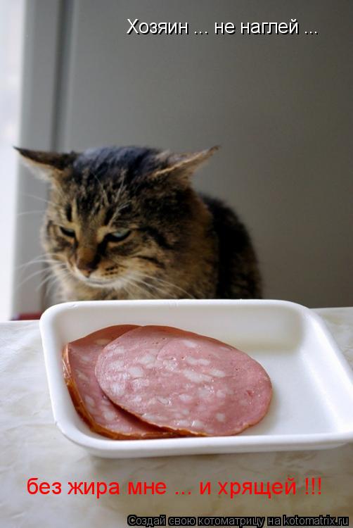 Котоматрица: Хозяин ... не наглей ... без жира мне ... и хрящей !!!