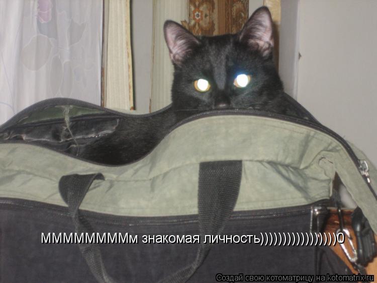 ММММММММм знакомая личность)))))))))))))))))0... Котоматрица: ММММММММм знакомая личность)))))))))))))))))0