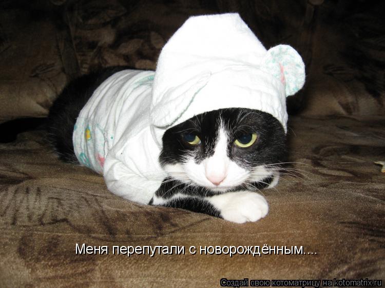 Меня перепутали с новорождённым....... Котоматрица: Меня перепутали с новорождённым....