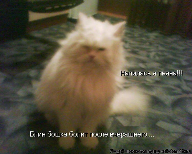 Блин бошка болит после вчерашнего.... Напилась я пьяна!!!... Котоматрица: Блин бошка болит после вчерашнего.... Напилась я пьяна!!!