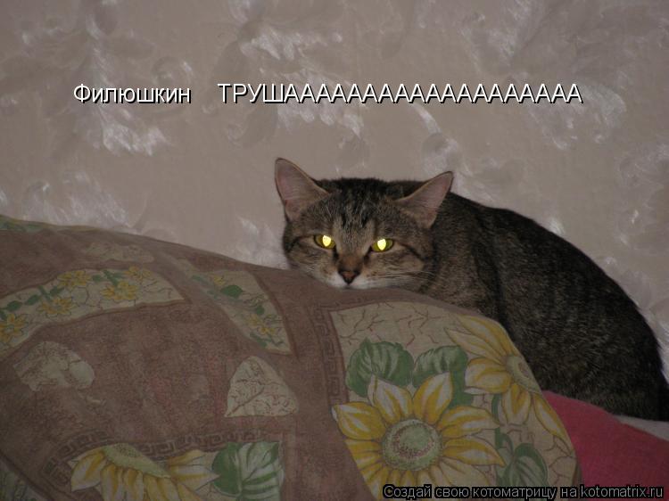 Филюшкин ТРУШААААААААААААААААААА... Котоматрица: Филюшкин ТРУШААААААААААААААААААА