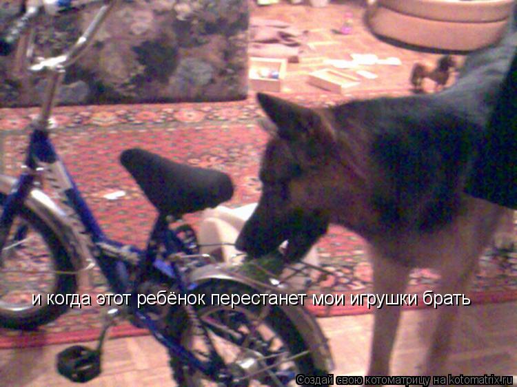 и когда этот ребёнок перестанет мои игрушки брать... Котоматрица: и когда этот ребёнок перестанет мои игрушки брать