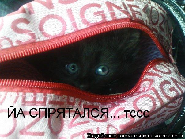 ЙА СПРЯТАЛСЯ... тссс... Котоматрица: ЙА СПРЯТАЛСЯ... тссс