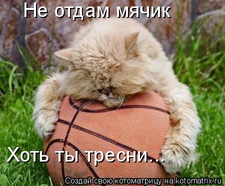 Не отдам мячик Хоть ты тресни...... Котоматрица: Не отдам мячик Хоть ты тресни...