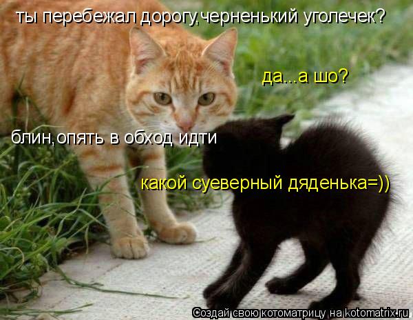 ты перебежал дорогу,черненький уголечек? да...а шо? блин,опять в обход идти какой суеверный дяденька=... Котоматрица: ты перебежал дорогу,черненький уголечек? да...а шо? блин,опять в обход идти какой суеверный дяденька=))