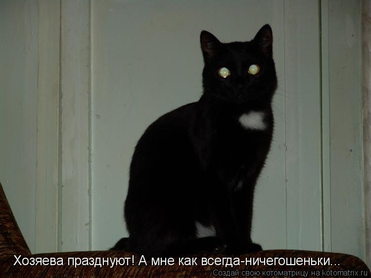 Хозяева празднуют! А мне как всегда-ничегошеньки...... Котоматрица: Хозяева празднуют! А мне как всегда-ничегошеньки...