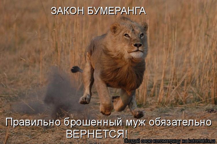 ЗАКОН БУМЕРАНГА ВЕРНЕТСЯ! Правильно брошенный муж обязательно... Котоматрица: ЗАКОН БУМЕРАНГА ВЕРНЕТСЯ! Правильно брошенный муж обязательно