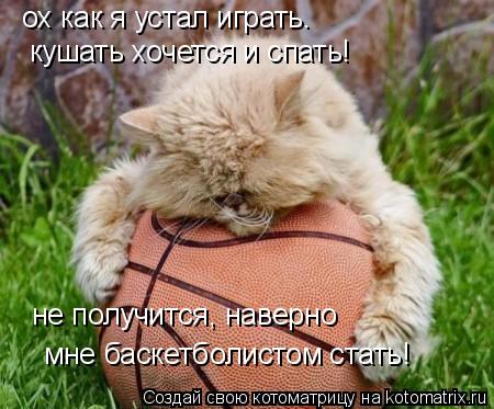 ох как я устал играть… кушать хочется и спать! не получится, наверно мне баскетболистом стать!... Котоматрица: ох как я устал играть… кушать хочется и спать! не получится, наверно мне баскетболистом стать!