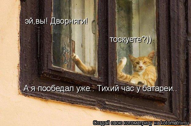 эй,вы! Дворняги! тоскуете?)) А я пообедал уже.. Тихий час у батареи..... Котоматрица: эй,вы! Дворняги! тоскуете?)) А я пообедал уже.. Тихий час у батареи..