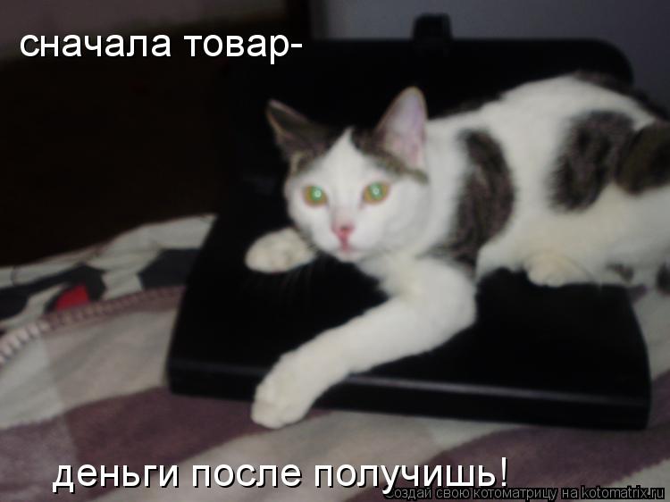сначала товар- деньги после получишь!... Котоматрица: сначала товар- деньги после получишь!