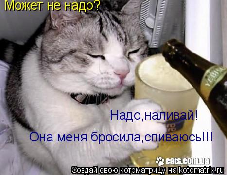 Может не надо? Надо,наливай! Она меня бросила,спиваюсь!!!... Котоматрица: Может не надо? Надо,наливай! Она меня бросила,спиваюсь!!!