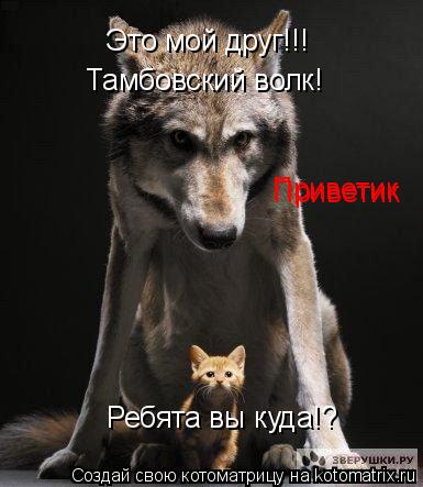 Приветик Приветик Ребята вы куда!? Тамбовский волк! Это мой друг!!!... Котоматрица: Приветик Приветик Ребята вы куда!? Тамбовский волк! Это мой друг!!!