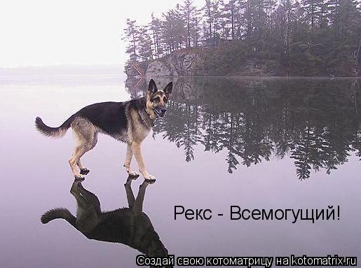 Рекс - Всемогущий!... Котоматрица: Рекс - Всемогущий!