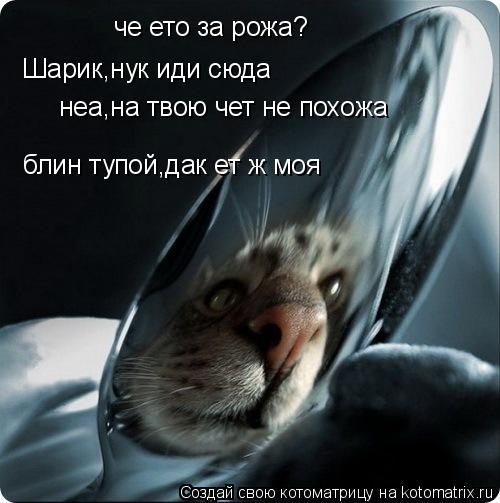 че ето за рожа? Шарик,нук иди сюда неа,на твою чет не похожа блин тупой,дак ет ж моя... Котоматрица: че ето за рожа? Шарик,нук иди сюда неа,на твою чет не похожа блин тупой,дак ет ж моя