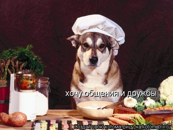 хочу общения и дружбы хочу общения и дружбы... Котоматрица: хочу общения и дружбы хочу общения и дружбы